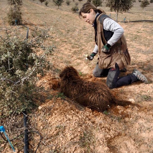 Alba Herranz trabajando con perro trufero en campo